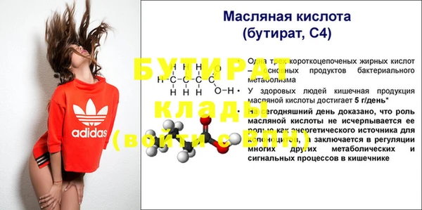 сатива Богданович