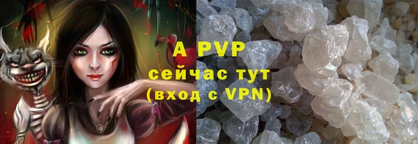 ECSTASY Верея