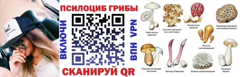 Галлюциногенные грибы Cubensis  Волгореченск 